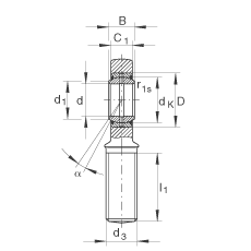 桿端軸承 GAR70-DO-2RS, 根據 DIN ISO 12 240-4 標準，帶右旋外螺紋，需維護，兩側唇密封