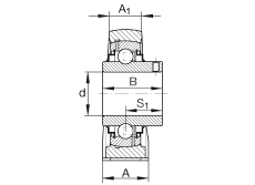 直立式軸承座單元 RASEY1-1/4, 鑄鐵軸承座，外球面球軸承，根據 ABMA 15 - 1991, ABMA 14 - 1991, ISO3228 內圈帶有平頭螺栓，R型密封，英制